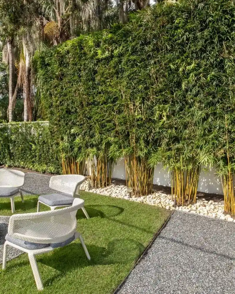 Bamboo Privacy Screen