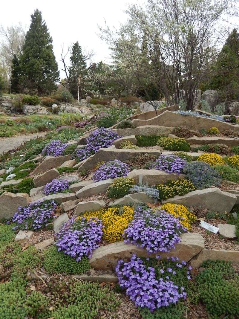 Denver Botanic Gardens' Rock Alpine Garden