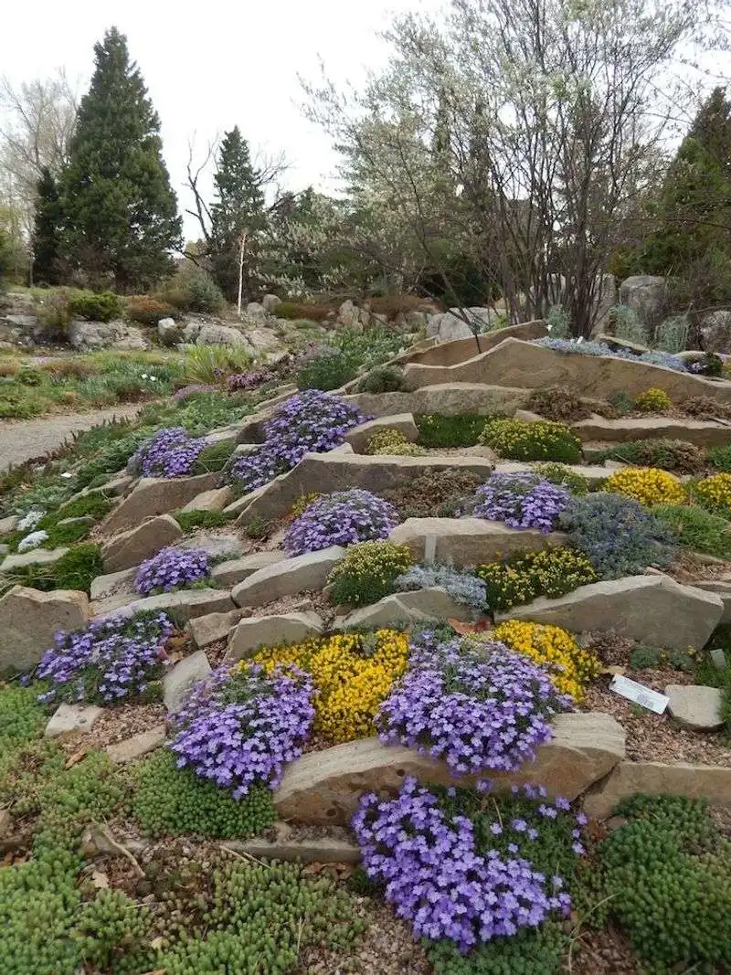 Denver Botanic Gardens' Rock Alpine Garden