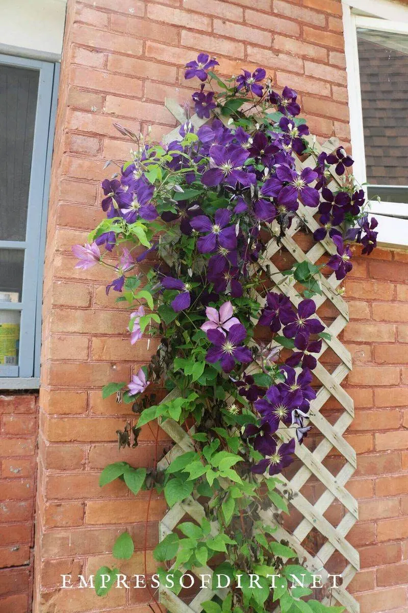 Structural Damage