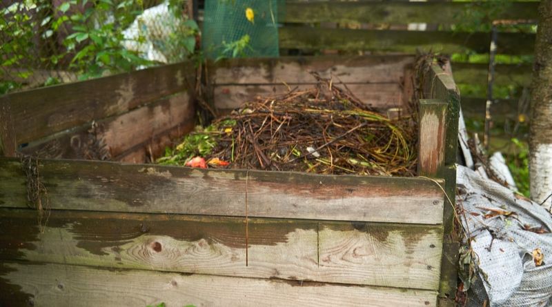 Start a Compost Pile