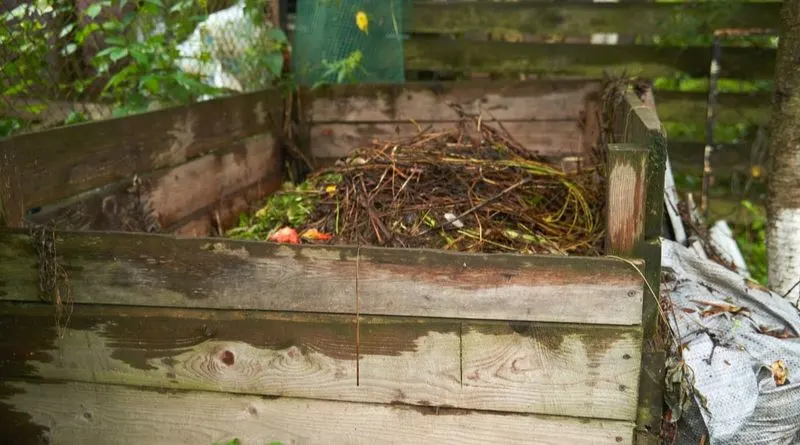 Start a Compost Pile