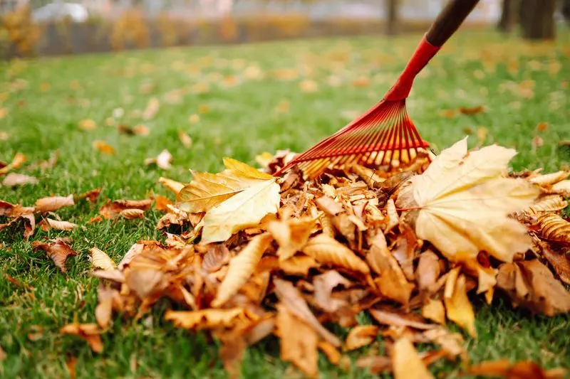 Do Not Rake Aggressively