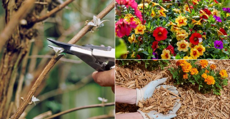 Do These 13 Garden Tasks in May to Save Hours of Work in July