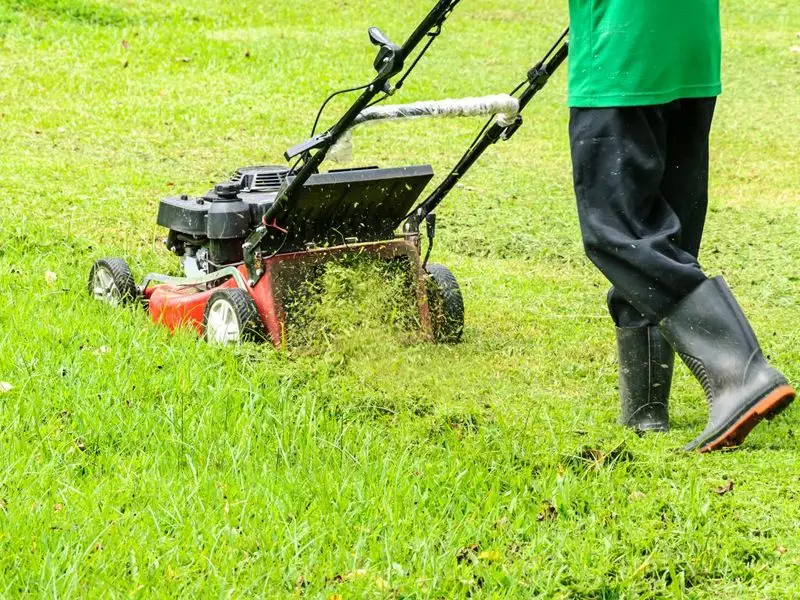 Skip Mowing Wet Grass