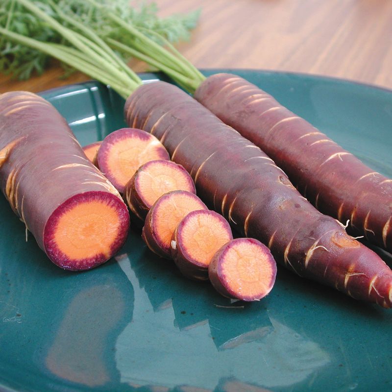 Dragon Carrot