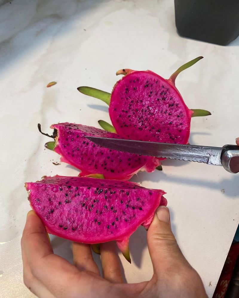 Dragon Fruit Elixir