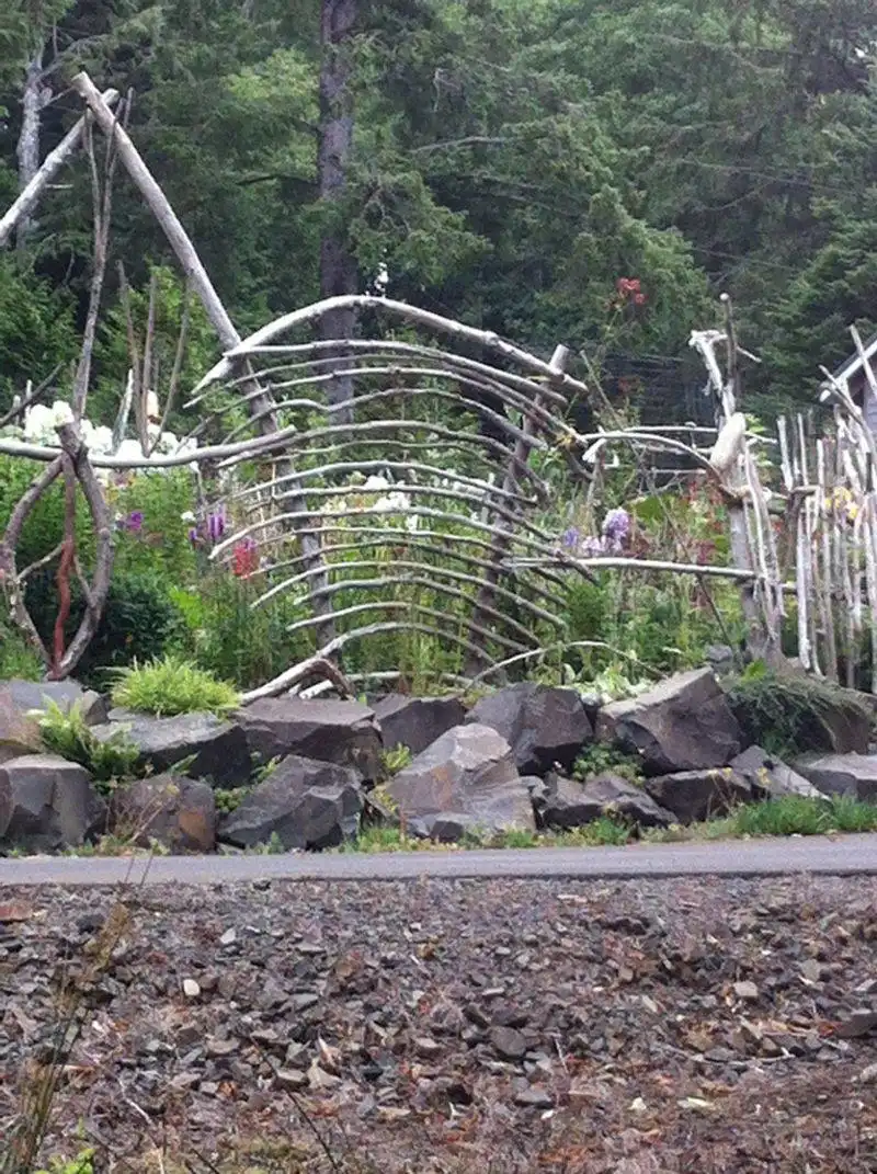 Driftwood Art Installations