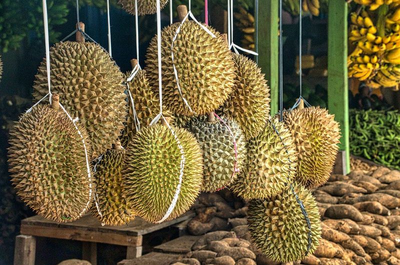 Durian Delight Blend