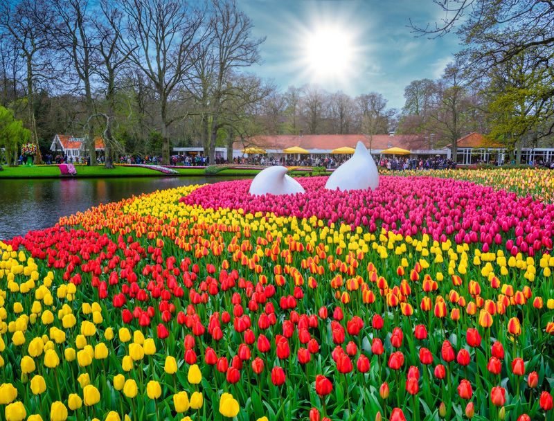Dutch Water Garden with Tulip Borders