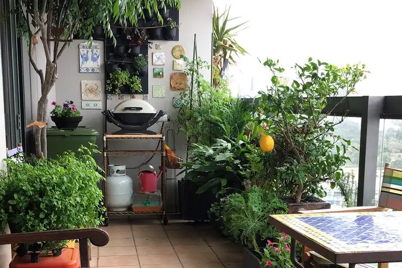 Edible Balcony Farm