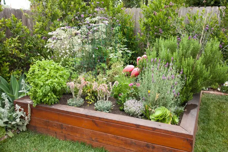 Edible Landscaping
