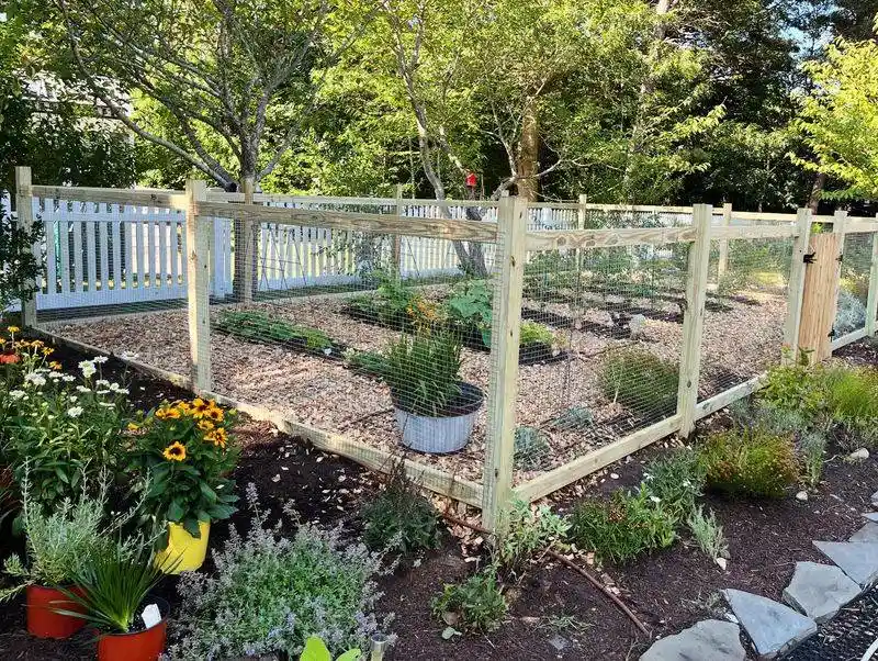 Edible Landscaping