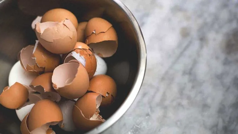 Eggshells for Calcium