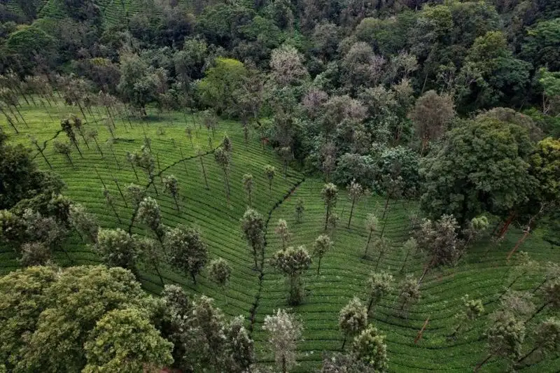 Encouraging Biodiversity