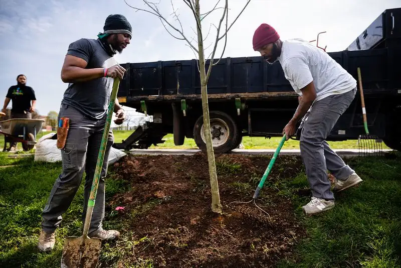 Engaging with Tree Communities