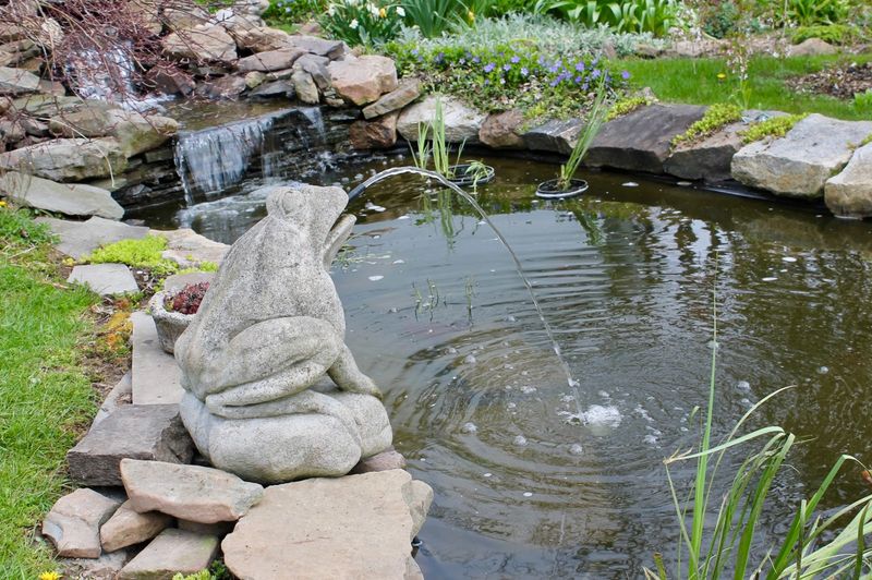 English Cottage Garden Pond