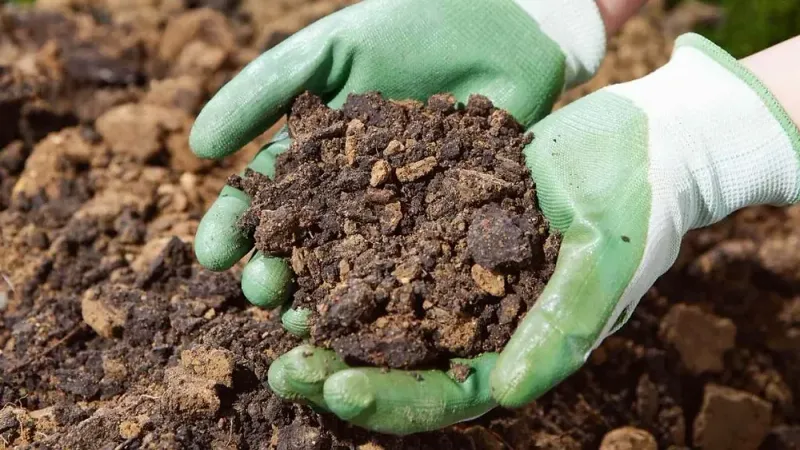 Enhance Soil with Clay