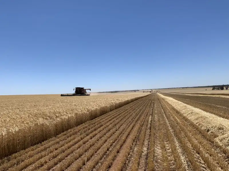 Yield Maximization