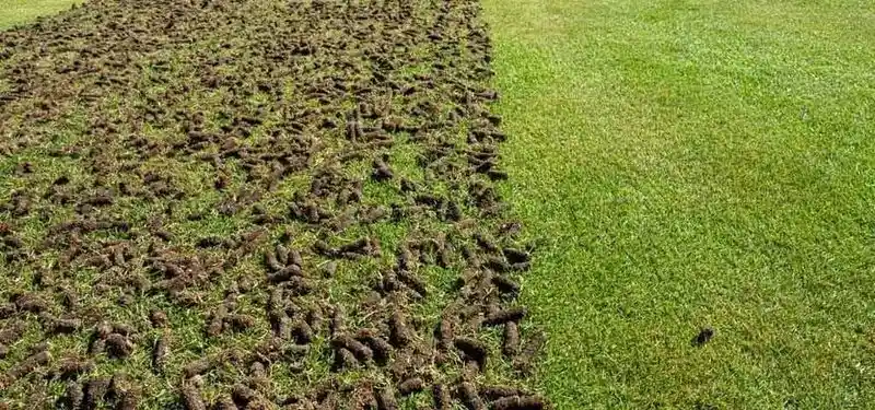 Enhanced Soil Aeration