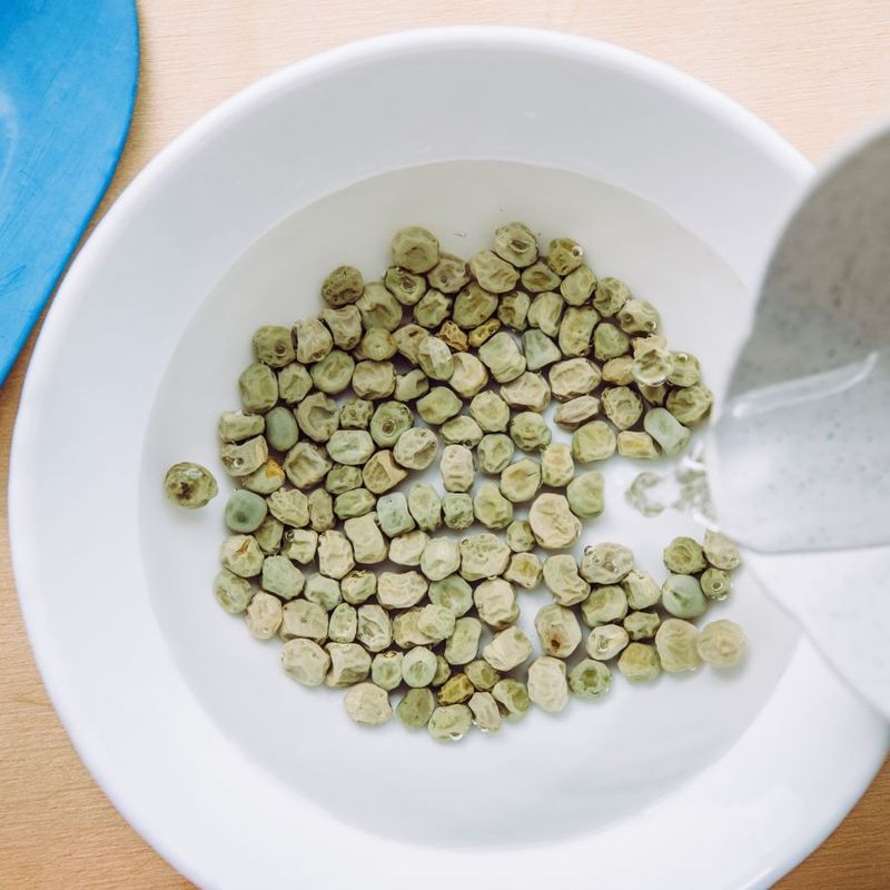 Enhances Nutrient Uptake