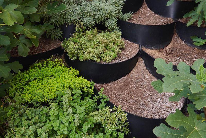 Erosion Control