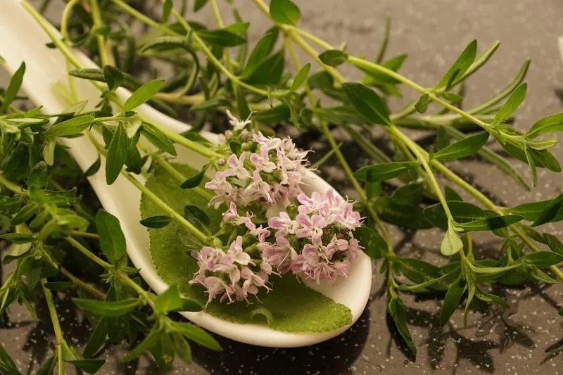 Thyme