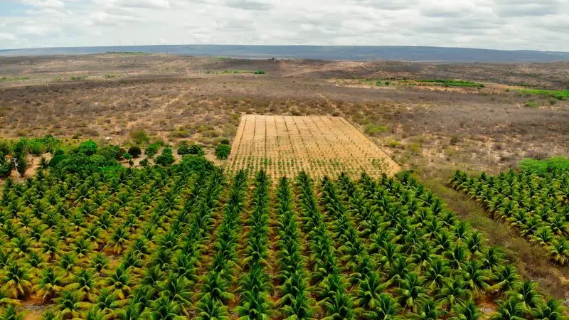 Myth: Dryland Farming is Only for Arid Regions