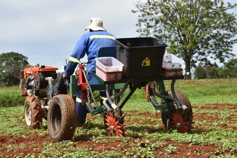 Myth: Only Large Farms Can Succeed