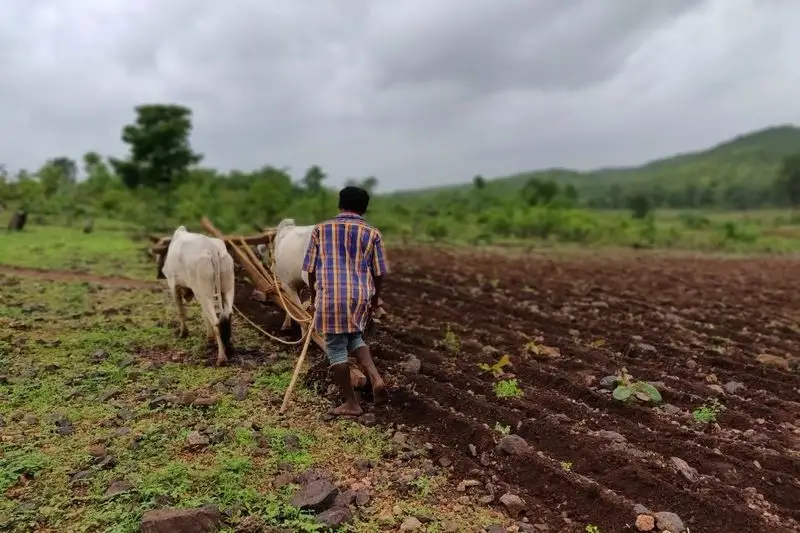 Myth: Dryland Farming is Not Profitable