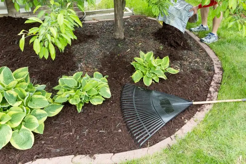Underestimating Mulch Amount