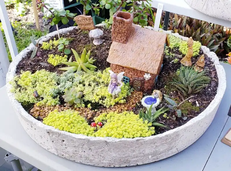 Fairy Gardens