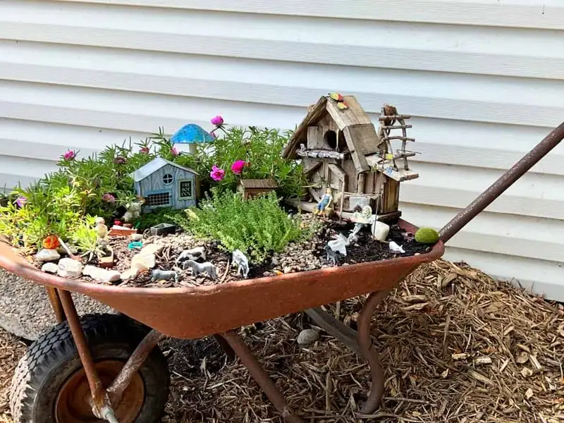 Fairy Gardens