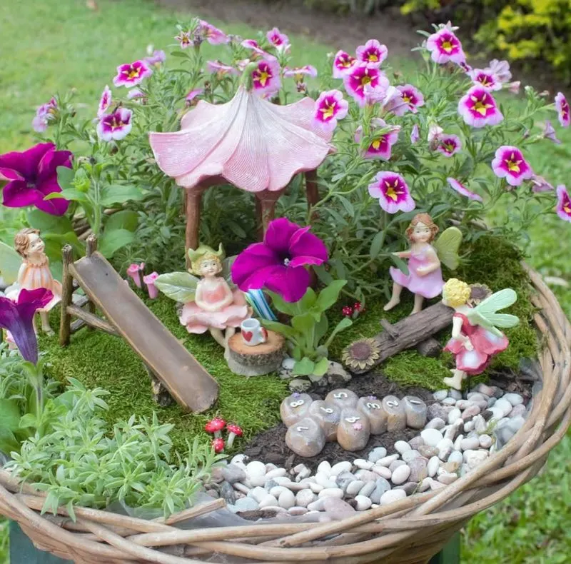 Fairy Gardens