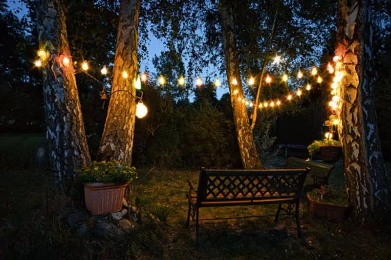Fairy Lights
