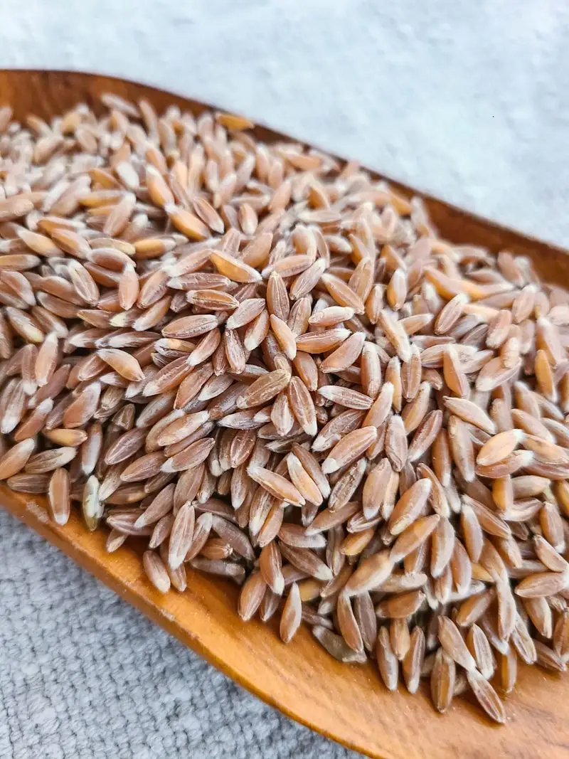 Farro