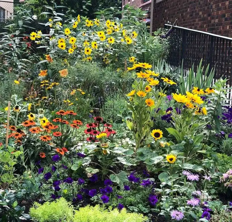 Ignoring Native Plant Varieties