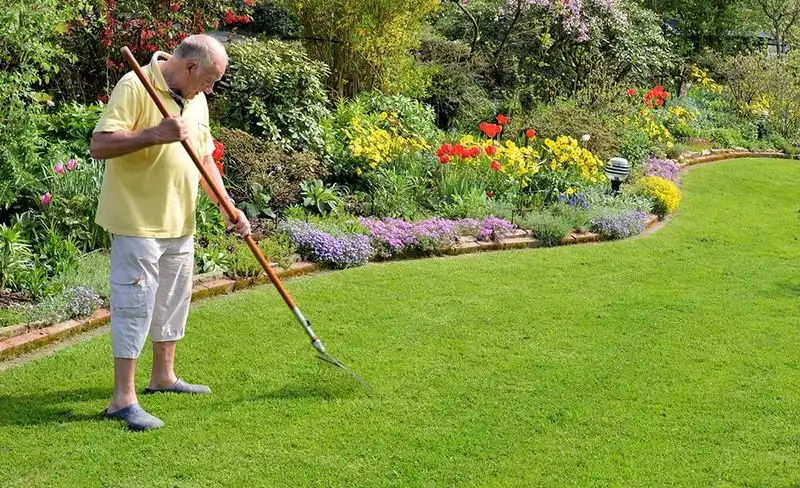 Schedule Routine Lawn Maintenance
