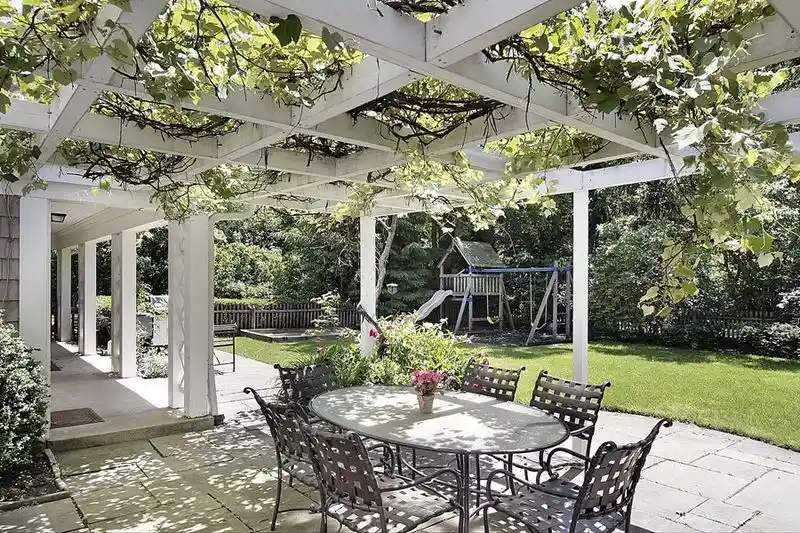 Grapevines