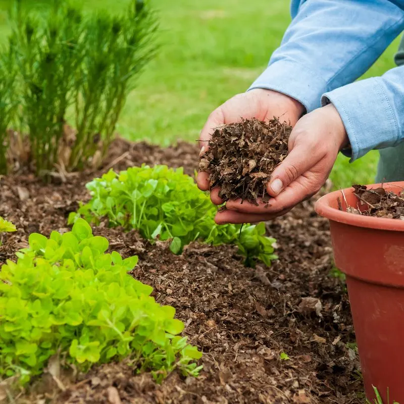 Install Mulch