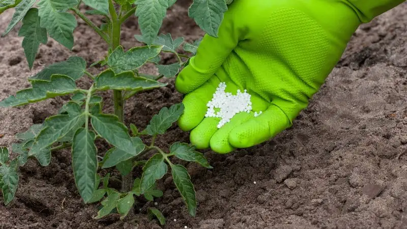 Fertilize Wisely