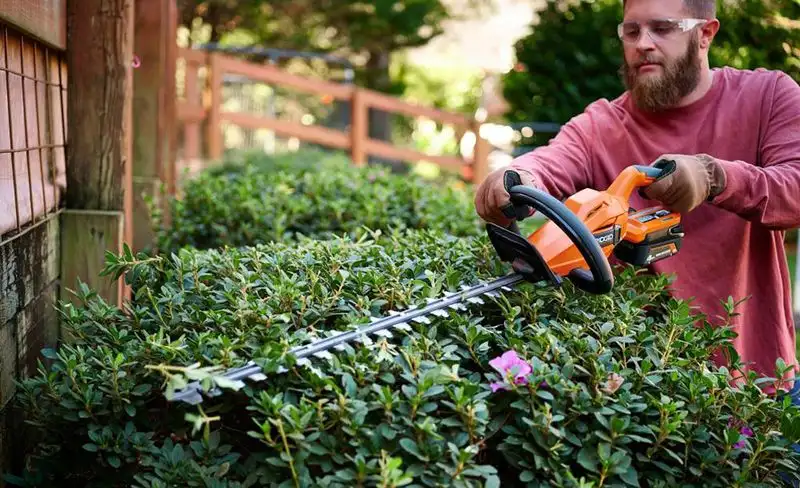 Trim Hedges
