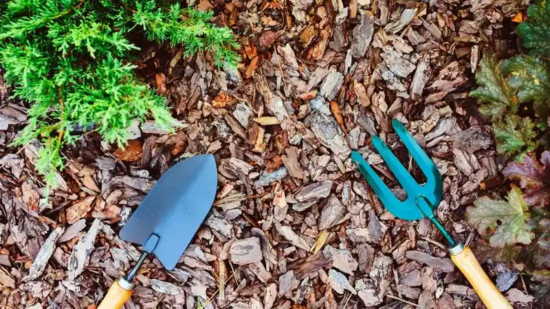 Using The Wrong Mulch
