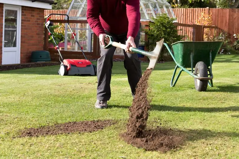 Topdressing the Lawn