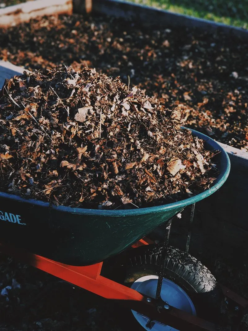 Fix 2: Amending Soil with Compost