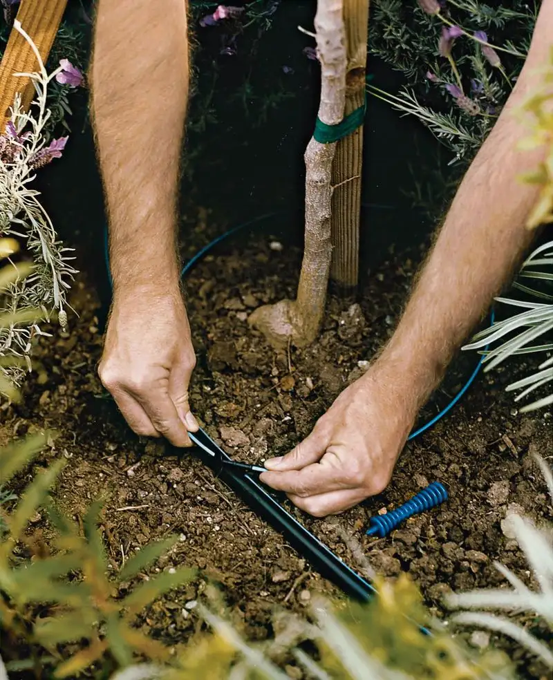 Fix 3: Installing Drip Irrigation