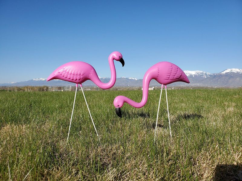 Flamingo Lawn Ornaments