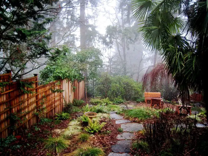 Forest Garden