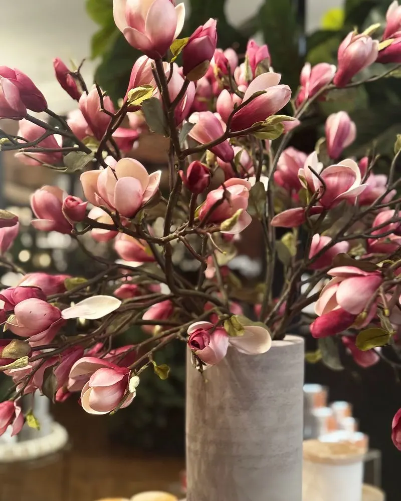 Magnolia