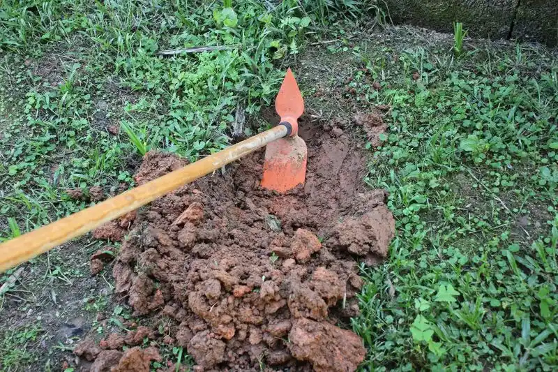 Frequent Soil Aeration